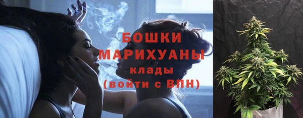 крисы Красноперекопск