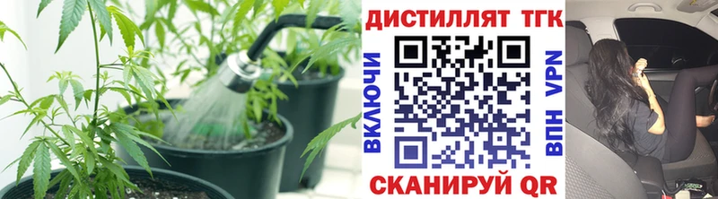 Дистиллят ТГК жижа  дарнет шоп  Сызрань 